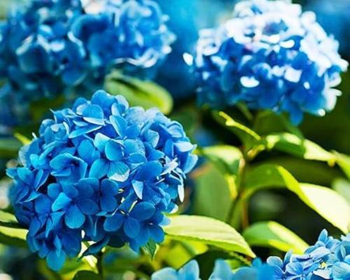 5a7956dab0d557e49382c6c15ea63633