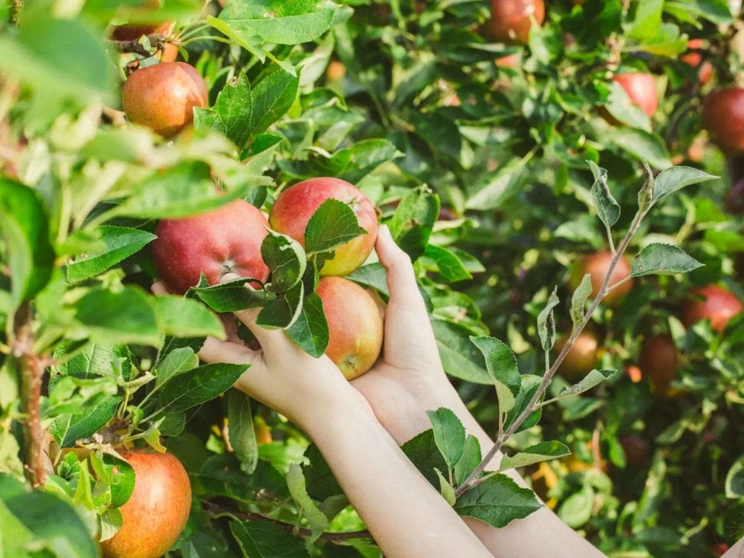 3d6dde7ce29c465f7051a3f08026083b